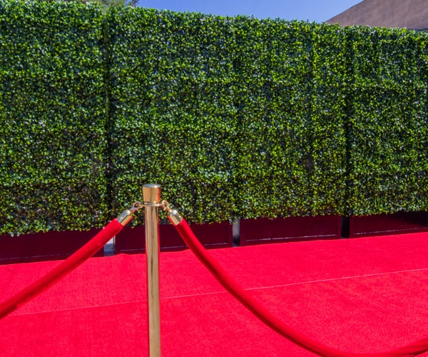 Red Carpet Rentals For Party Los Angels