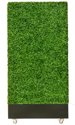 Hedge Wall Double Sided