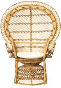 Peacock Chair